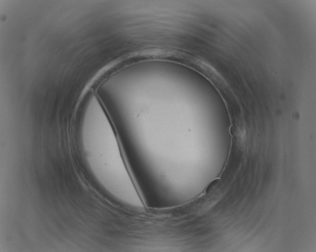 X0000062830484200601130918