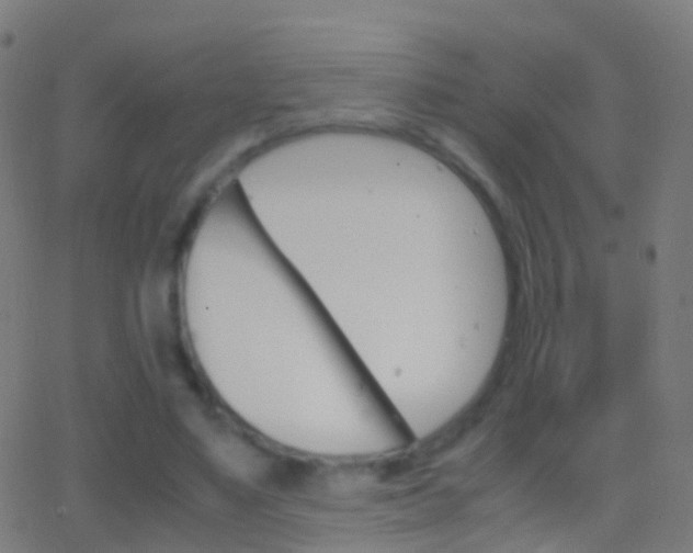 X0000062830491200601130918