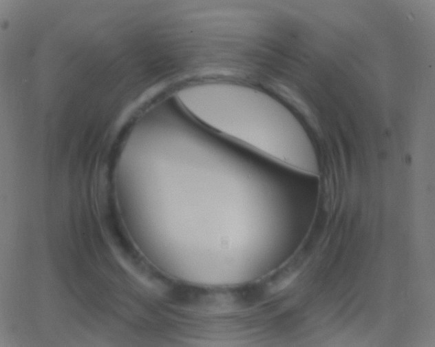X0000062830492200601130918