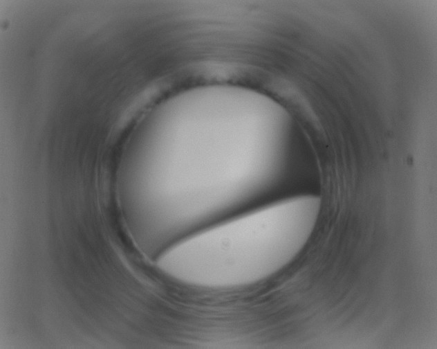 X0000062830496200601130918