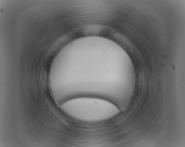 X0000062830498200601130918