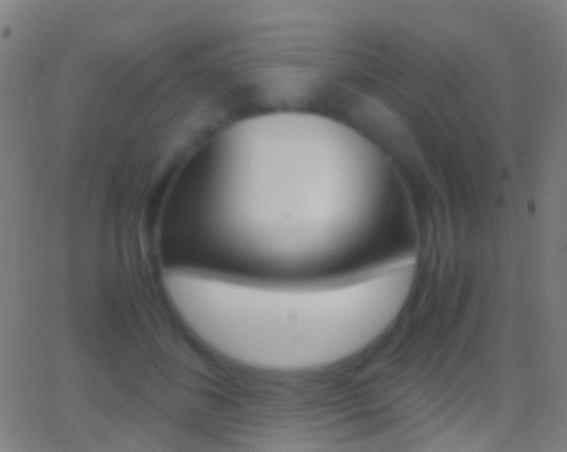 X0000062830508200601130918
