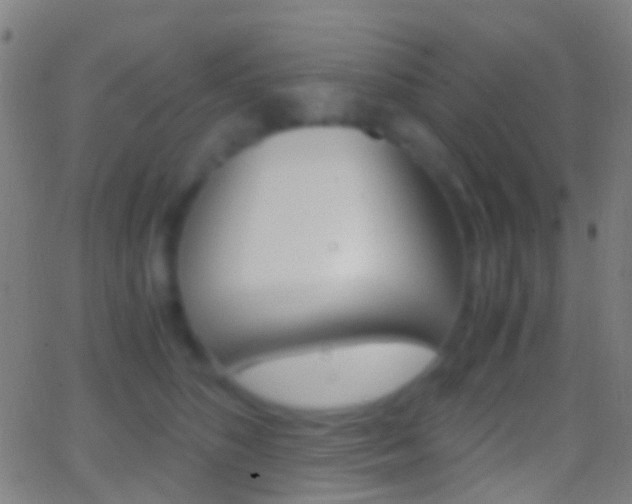 X0000062830516200601130918