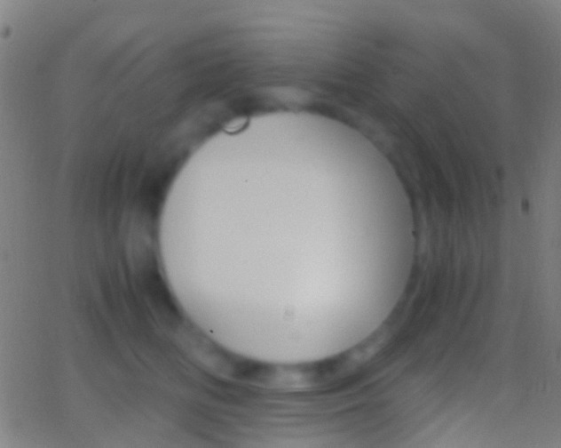 X0000062830518200601130918