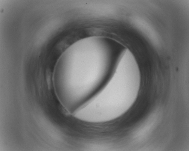 X0000062830525200601130917