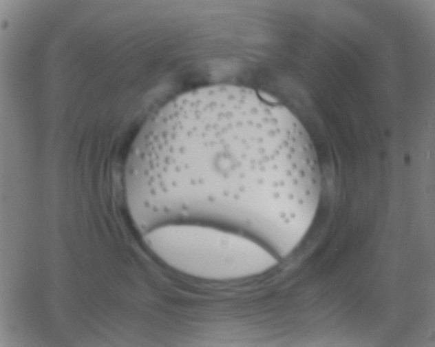 X0000062830527200601130917