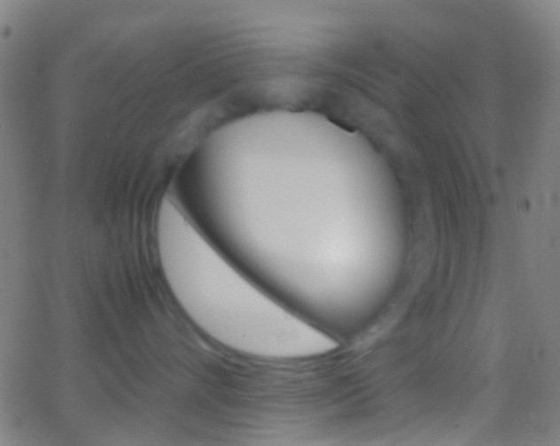 X0000062830528200601130917