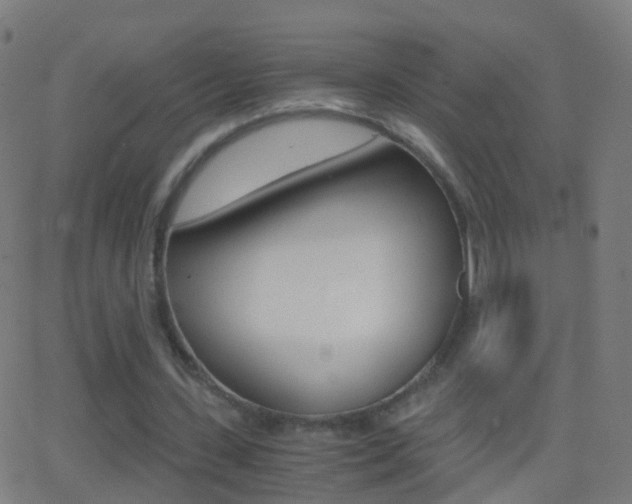 X0000062830531200601130917