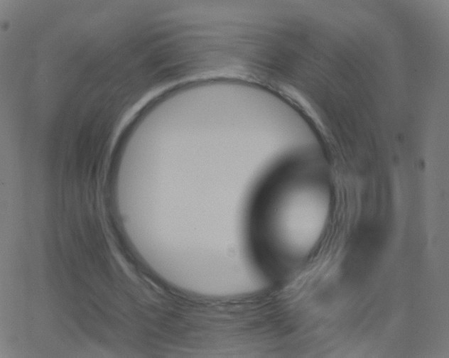 X0000062830532200601130917
