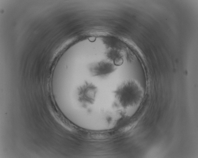 X0000062830533200601130917