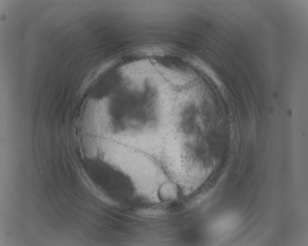X0000062830537200601130917