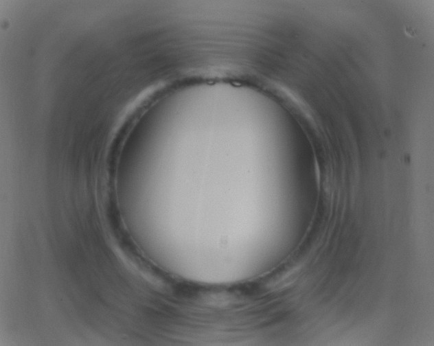 X0000062830540200601130917