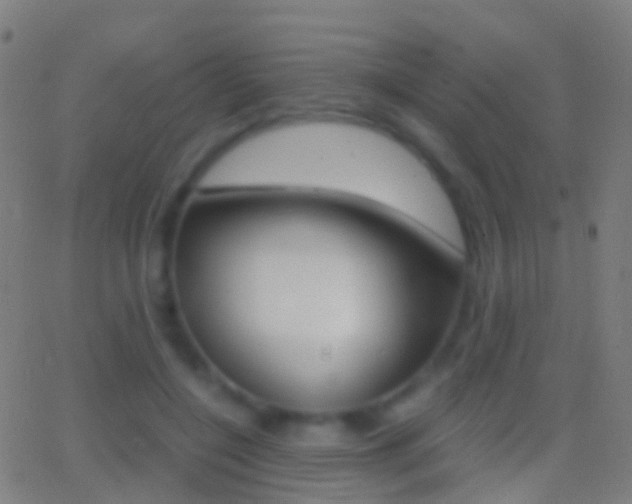 X0000062830548200601130917