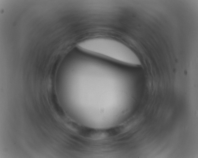 X0000062830551200601130917