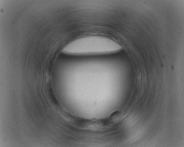 X0000062830555200601130917