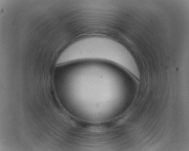 X0000062830556200601130917