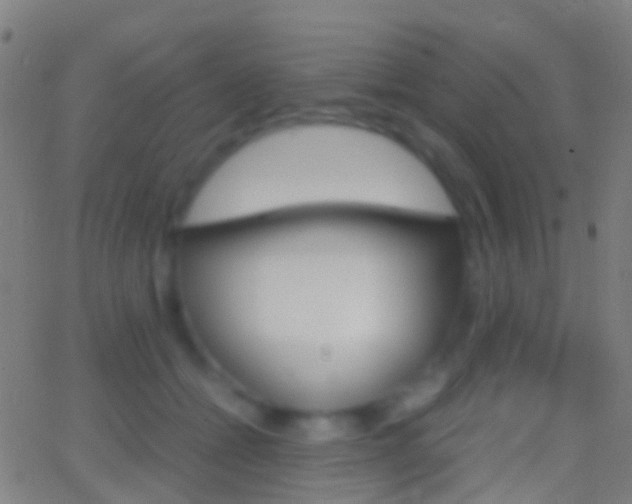 X0000062830558200601130917
