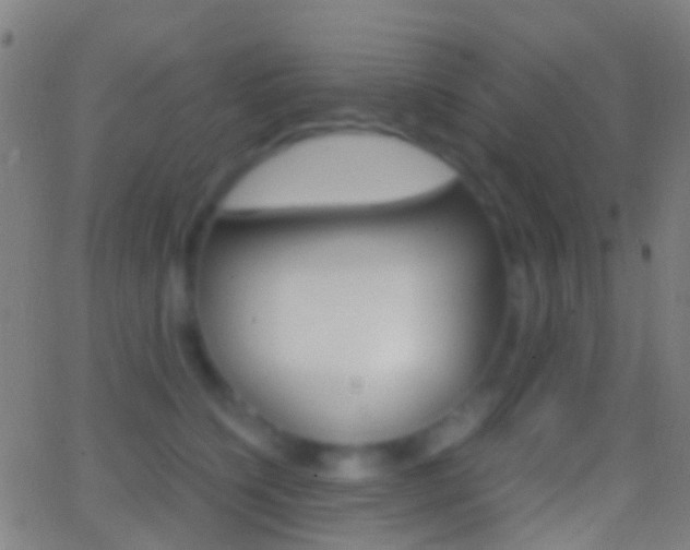 X0000062830564200601130917