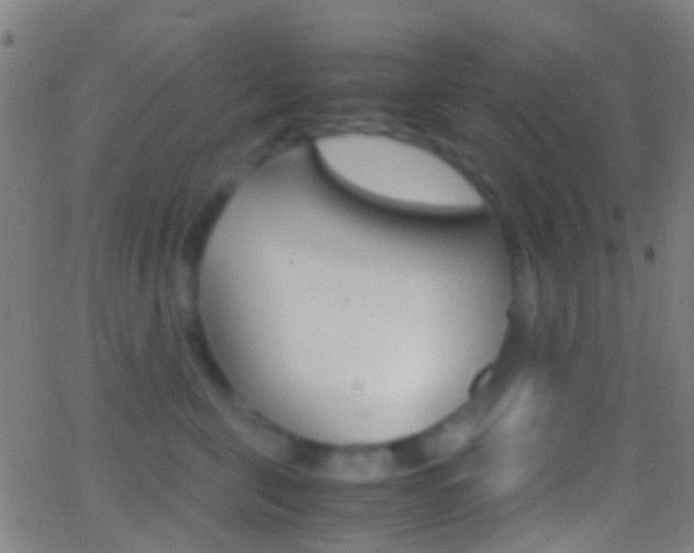 X0000062830571200601130917