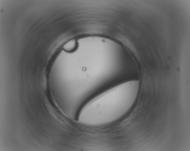 X0000062830584200601130916