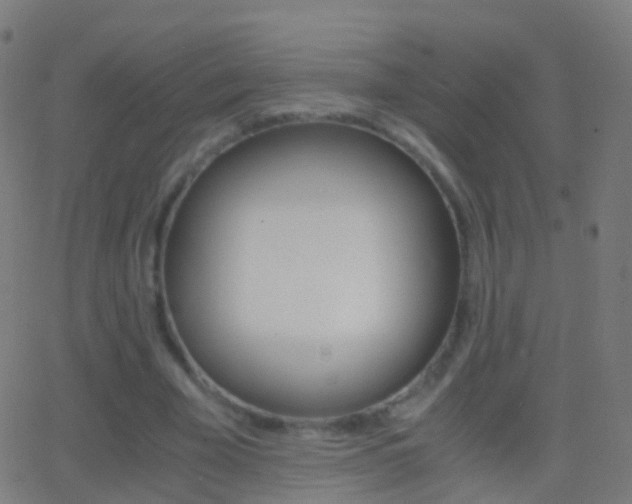 X0000062830585200601130916