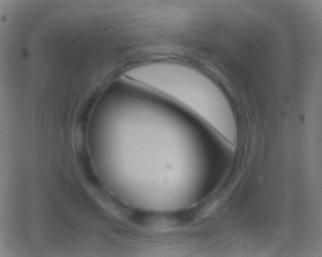 X0000062830597200601130916