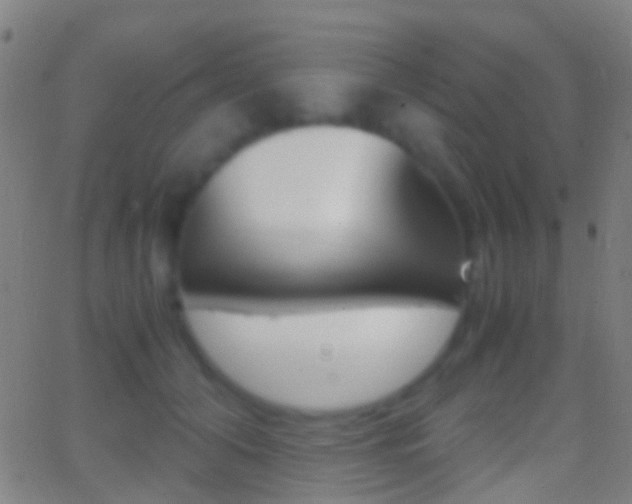 X0000062830608200601130916