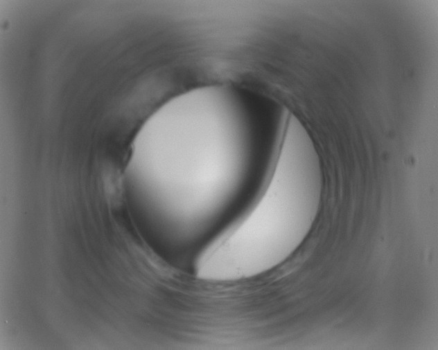 X0000062830624200601130916