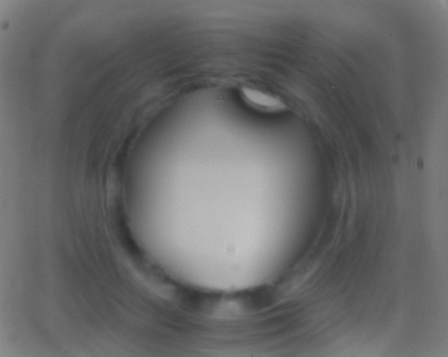 X0000062830647200601130915