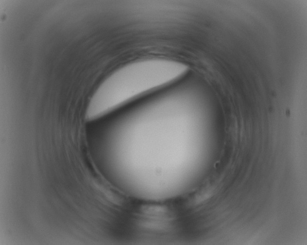 X0000062830649200601130915