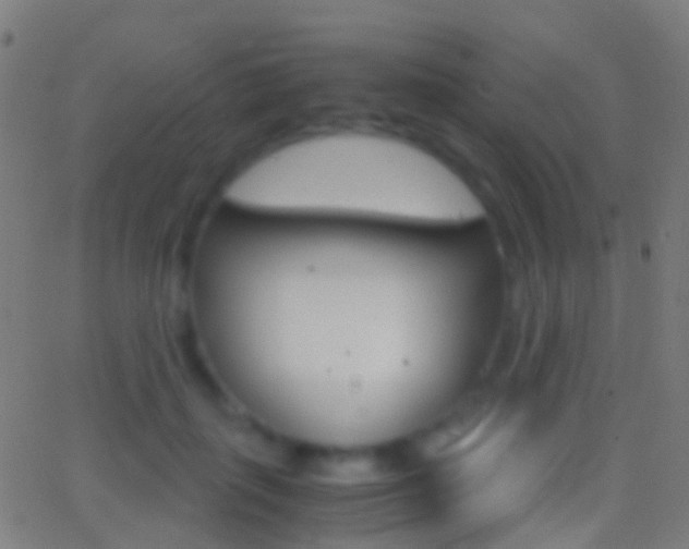 X0000062830651200601130915