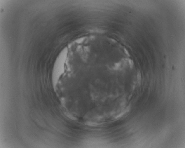 X0000062830671200601130916
