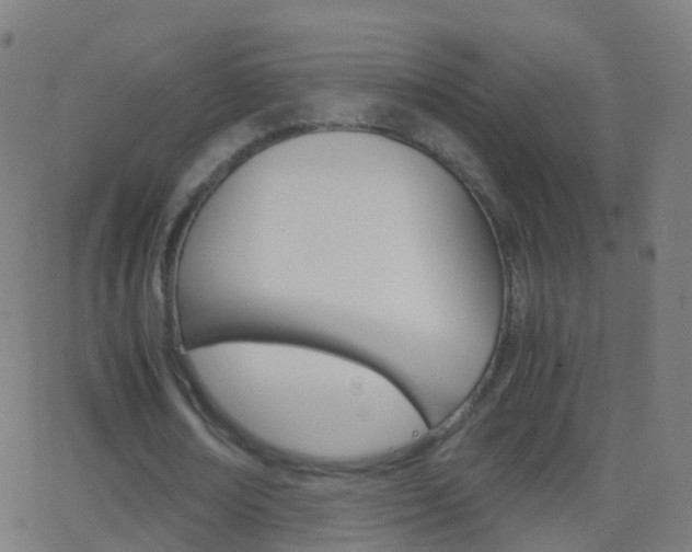 X0000062830674200601130915