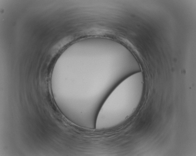 X0000062830675200601130915