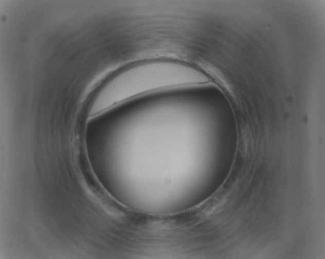 X0000062830680200601130915