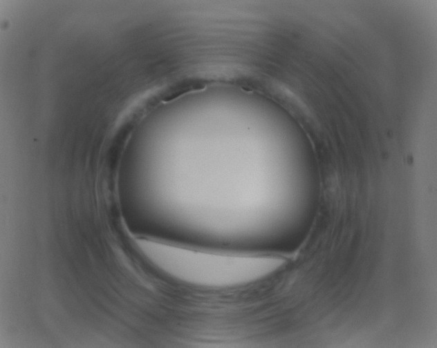 X0000062830688200601130915