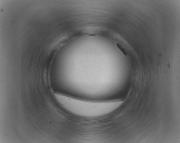 X0000062830696200601130915