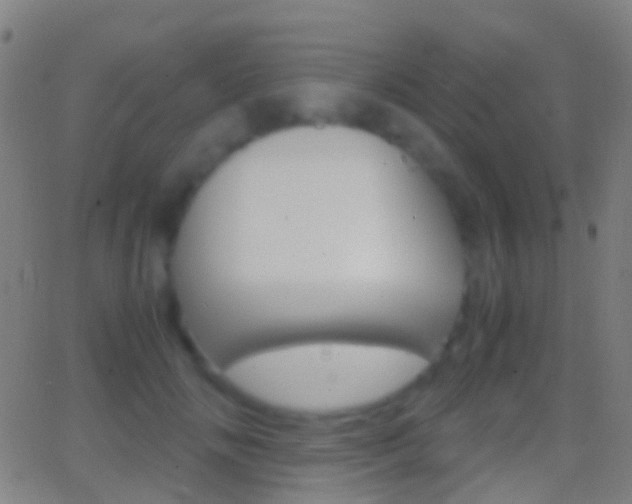 X0000062830702200601130914