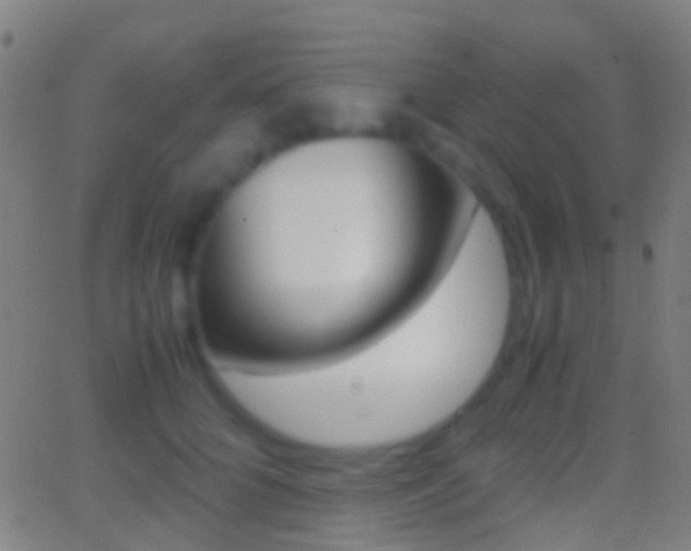 X0000062830704200601130914