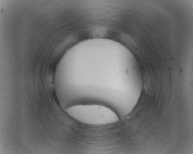 X0000062830714200601130914