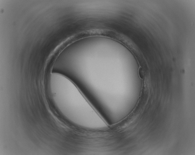 X0000062830722200601130913