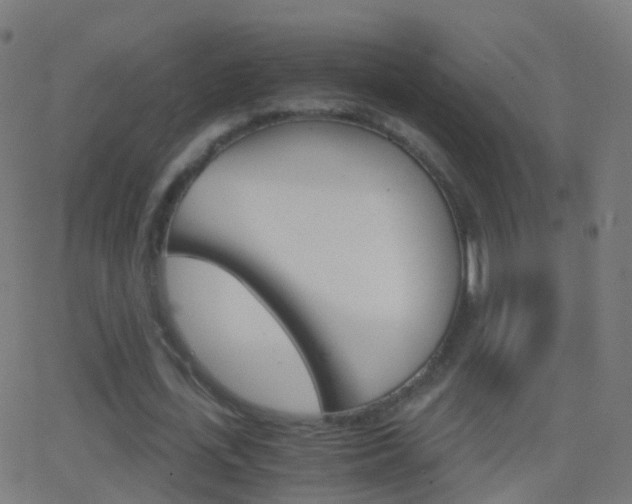 X0000062830723200601130913