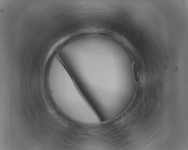 X0000062830724200601130913