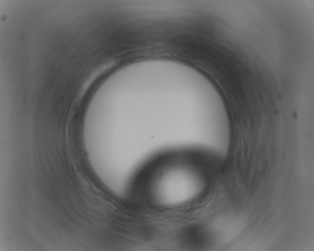 X0000062830731200601130913