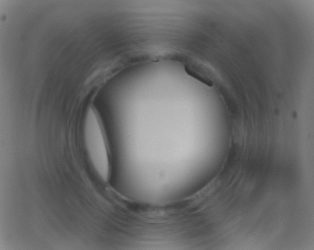 X0000062830740200601130914