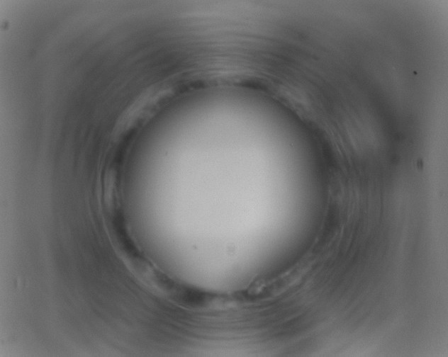 X0000062830742200601130914
