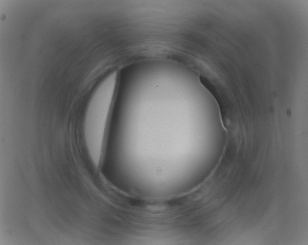 X0000062830744200601130914