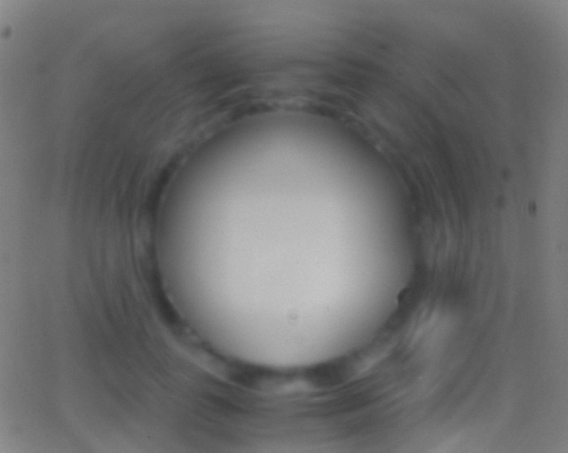 X0000062830747200601130914