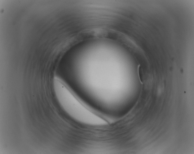X0000062830748200601130914