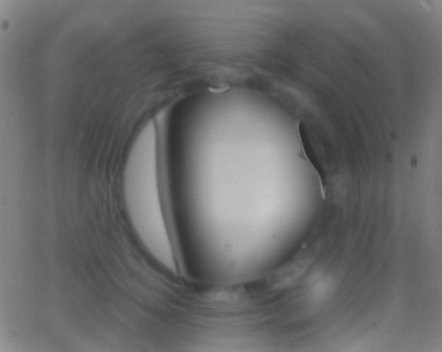 X0000062830756200601130914